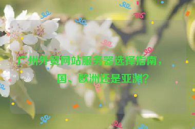 廣州外貿(mào)網(wǎng)站服務(wù)器選擇指南，美國、歐洲還是亞洲？