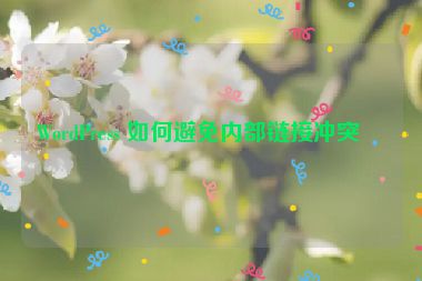 WordPress 如何避免內部鏈接沖突？