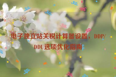 電子獨立站關(guān)稅計算器設置，DDP/DDU選項優(yōu)化指南