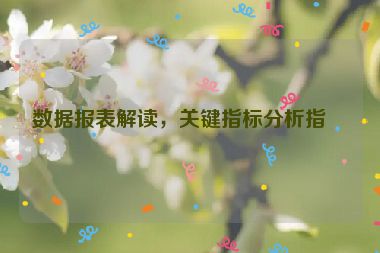 數(shù)據(jù)報(bào)表解讀，關(guān)鍵指標(biāo)分析指南
