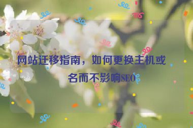 網(wǎng)站遷移指南，如何更換主機(jī)或域名而不影響SEO
