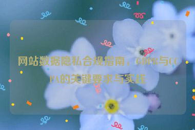 網(wǎng)站數(shù)據(jù)隱私合規(guī)指南，GDPR與CCPA的關(guān)鍵要求與實踐