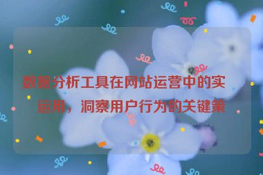 數(shù)據(jù)分析工具在網(wǎng)站運(yùn)營(yíng)中的實(shí)戰(zhàn)運(yùn)用，洞察用戶(hù)行為的關(guān)鍵策略