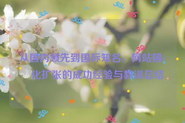 從國內(nèi)領(lǐng)先到國際知名，網(wǎng)站國際化擴(kuò)張的成功經(jīng)驗與教訓(xùn)總結(jié)