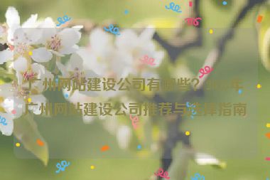 廣州網(wǎng)站建設(shè)公司有哪些？2023年廣州網(wǎng)站建設(shè)公司推薦與選擇指南