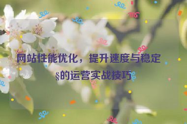 網(wǎng)站性能優(yōu)化，提升速度與穩(wěn)定性的運營實戰(zhàn)技巧