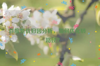 百度競價歸因分析，如何優(yōu)化轉(zhuǎn)化路徑？