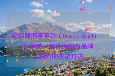 論壇和問答平臺（Quora、Reddit）SEO策略，提升流量與品牌影響力的關(guān)鍵方法