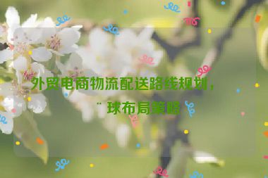 外貿(mào)電商物流配送路線規(guī)劃，全球布局策略