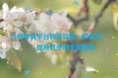外貿(mào)電商平臺物流設(shè)置，降低成本，提高效率的全面指南