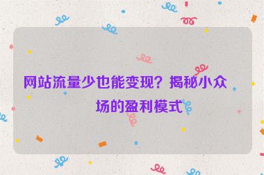網(wǎng)站流量少也能變現(xiàn)？揭秘小眾市場(chǎng)的盈利模式