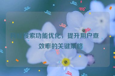 網(wǎng)站搜索功能優(yōu)化，提升用戶查找效率的關(guān)鍵策略