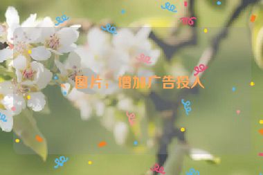 、圖片，增加廣告投入