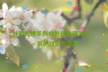 外匯管理?xiàng)l例對(duì)外貿(mào)電商外匯交易的規(guī)定與影響