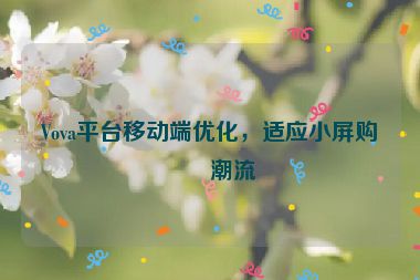 Vova平臺移動端優(yōu)化，適應(yīng)小屏購物潮流