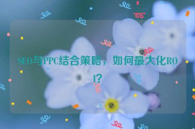 SEO與PPC結(jié)合策略，如何最大化ROI？
