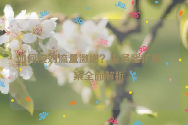 如何應(yīng)對流量激增？服務(wù)器擴展方案全面解析