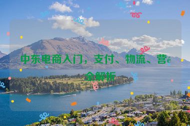 中東電商入門，支付、物流、營銷全解析