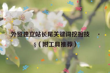 外貿(mào)獨立站長尾關(guān)鍵詞挖掘技巧（附工具推薦）