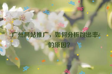 廣州網(wǎng)站推廣，如何分析跳出率高的原因？