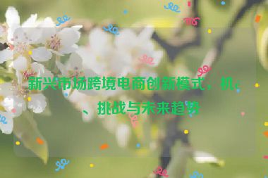 新興市場跨境電商創(chuàng)新模式，機遇、挑戰(zhàn)與未來趨勢