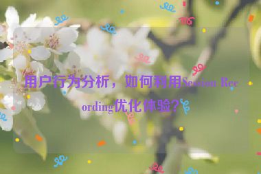 用戶行為分析，如何利用Session Recording優(yōu)化體驗(yàn)？