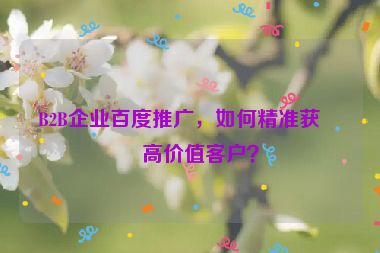 B2B企業(yè)百度推廣，如何精準獲取高價值客戶？