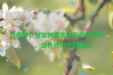 百度推廣智能創(chuàng)意優(yōu)化實(shí)戰(zhàn)案例解析，提升轉(zhuǎn)化率的秘訣