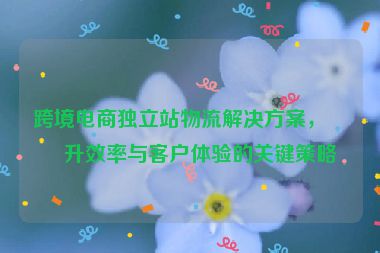 跨境電商獨(dú)立站物流解決方案，提升效率與客戶體驗(yàn)的關(guān)鍵策略