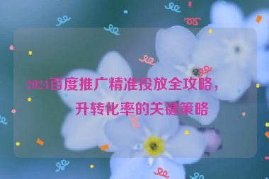 2024百度推廣精準投放全攻略，提升轉(zhuǎn)化率的關(guān)鍵策略