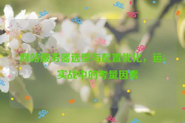 網(wǎng)站服務(wù)器選型與配置優(yōu)化，運(yùn)營(yíng)實(shí)戰(zhàn)中的考量因素