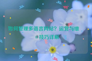 如何管理多語言網(wǎng)站？運營與維護技巧詳解