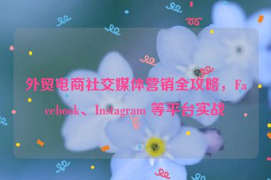 外貿(mào)電商社交媒體營銷全攻略，F(xiàn)acebook、Instagram 等平臺實戰(zhàn)