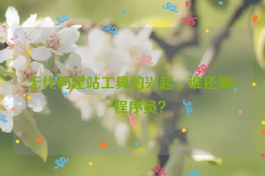 無(wú)代碼建站工具的興起，誰(shuí)還需要程序員？