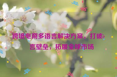 跨境電商多語言解決方案，打破語言壁壘，拓展全球市場