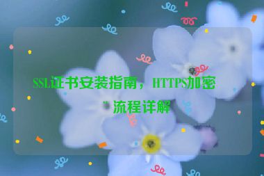 SSL證書安裝指南，HTTPS加密全流程詳解