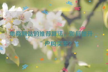 電商網(wǎng)站的推薦算法，如何提升用戶購買率？