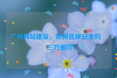 廣州網(wǎng)站建設(shè)，如何選擇安全的第三方插件？