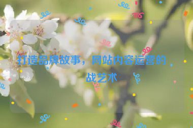 打造品牌故事，網(wǎng)站內(nèi)容運(yùn)營的實(shí)戰(zhàn)藝術(shù)