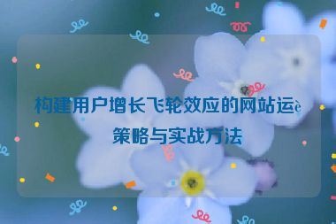 構(gòu)建用戶增長飛輪效應(yīng)的網(wǎng)站運營策略與實戰(zhàn)方法