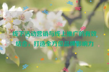 線下活動營銷與線上推廣的有效結(jié)合，打造全方位品牌影響力