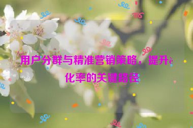 用戶分群與精準(zhǔn)營銷策略，提升轉(zhuǎn)化率的關(guān)鍵路徑