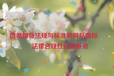 遵循國際法規(guī)與標(biāo)準(zhǔn)的網(wǎng)站國際化法律合規(guī)性運營要點