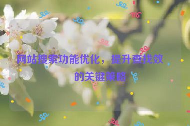 網(wǎng)站搜索功能優(yōu)化，提升查找效率的關(guān)鍵策略
