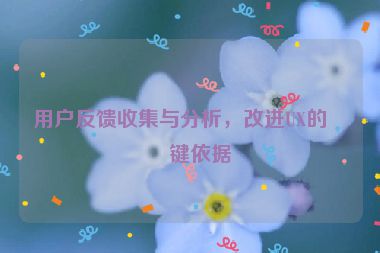 用戶反饋收集與分析，改進UX的關(guān)鍵依據(jù)