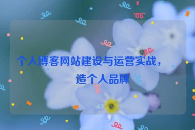 個(gè)人博客網(wǎng)站建設(shè)與運(yùn)營(yíng)實(shí)戰(zhàn)，打造個(gè)人品牌
