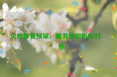 災(zāi)難恢復(fù)預(yù)案，服務(wù)器宕機(jī)應(yīng)對措施