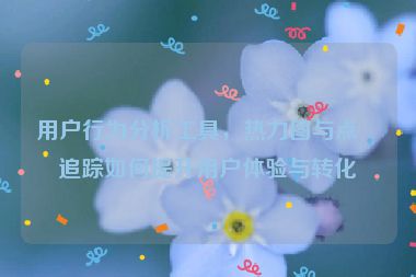 用戶行為分析工具，熱力圖與點擊追蹤如何提升用戶體驗與轉(zhuǎn)化率