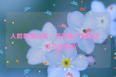 人群畫像分析，百度推廣精準(zhǔn)定向技巧全解析