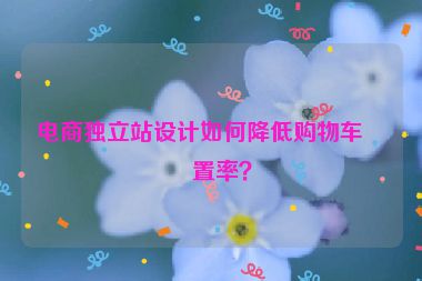 電商獨立站設(shè)計如何降低購物車棄置率？